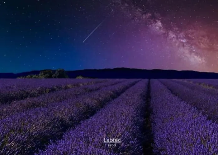 Les Gorges Du Verdon Chalé Riez