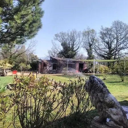 Les Gorges Du Verdon *