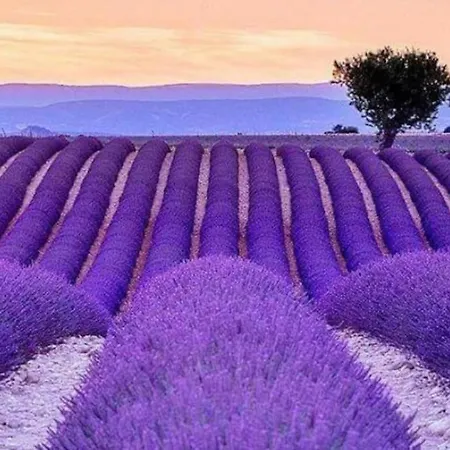Les Gorges Du Verdon 샬레
