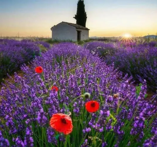 Chalet Les Gorges Du Verdon *
