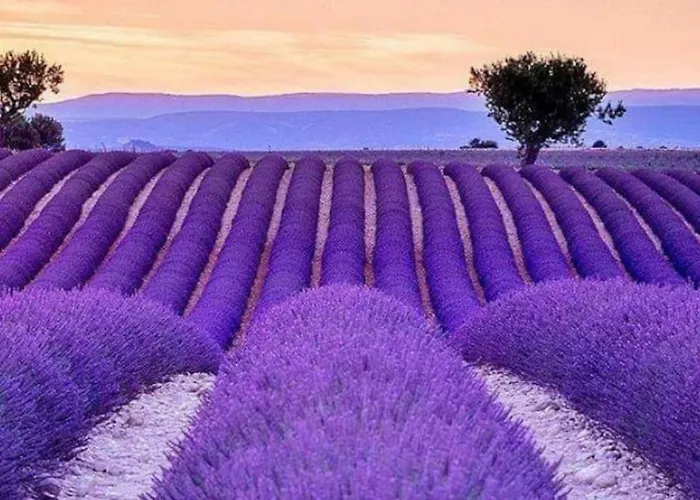 Les Gorges Du Verdon Chalet