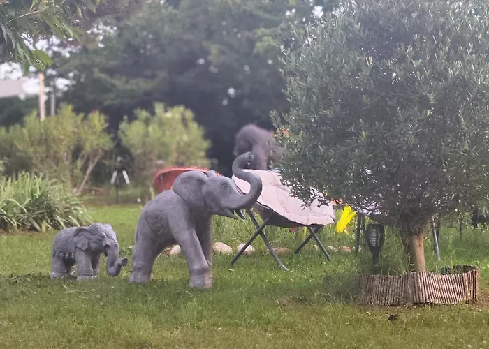 Les Gorges Du Verdon Chalet Riez
